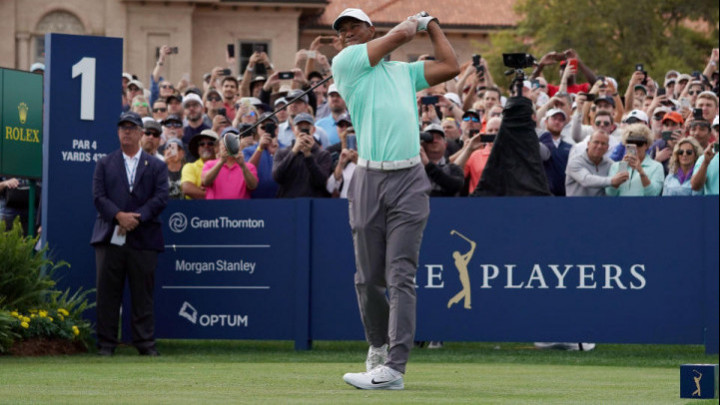 Tiger Woods chọn bỏ qua sự kiện hàng đầu của PGA Tour